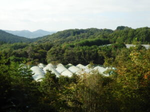 風景