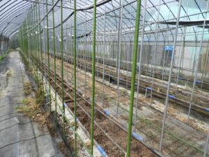 隔離土耕のハウス
