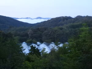 秋らしくなってきました⑯。