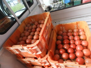 秋らしくなってきました②。