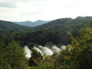 日中は少し汗ばみます⑥。