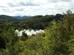 日中は少し汗ばみます⑦。