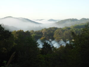 秋晴れの日です。