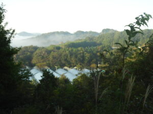 曇って雨も降ります。