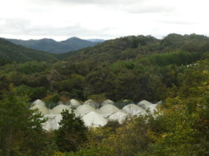 曇っています。