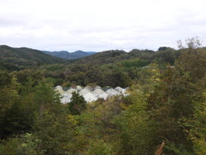 秋が深まっています②。