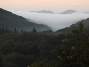 秋が深まっています⑤。