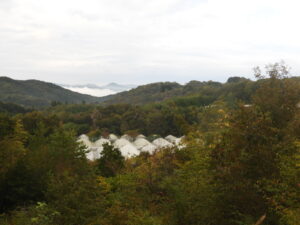 秋が深まっています⑥。