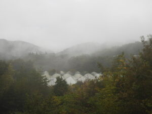 秋が深まっています⑦。