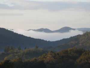 秋が深まっています⑨。