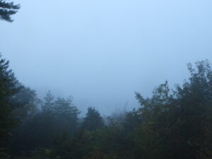 不安定な天気です。