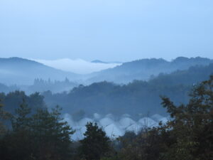 不安定な天気です②。