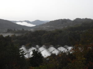 秋深まっています。