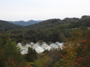 秋深まっています②。