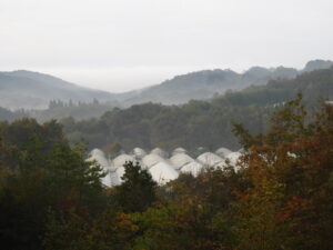 秋深まっています③。