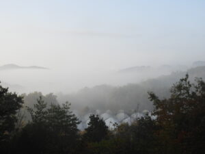 秋深まっています⑤。