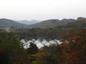 秋深まっています⑦。