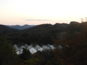 秋深まっています⑧。