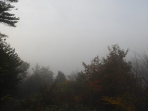 秋深まっています⑨。