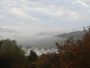 秋深まっています⑩。