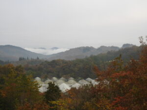 秋深まっています⑪。