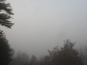 晴れて暖かい日が続きます。