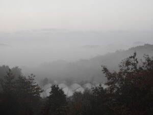 晴れて暖かい日が続きます②。