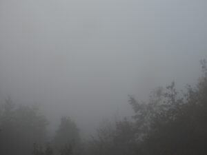 晴れて暖かい日が続きます③。