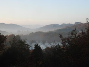 冬が近づいています。