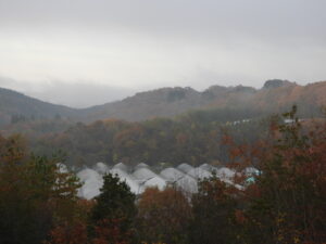 冬が近づいています②。