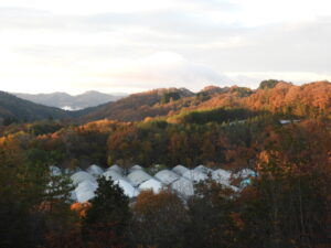 冬が近づいています③。