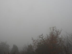 冬が近づいています④。