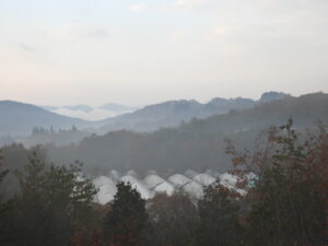 天空祭で出店します。