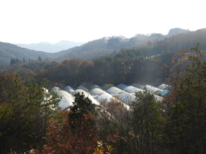 日中は暖かいです。