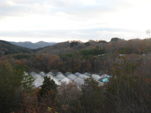 日中は暖かいです②。