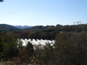 日中は暖かいです③。