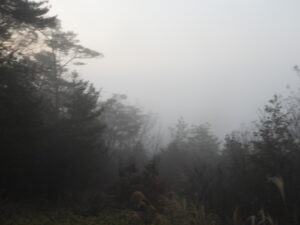 日中は暖かいです⑥。