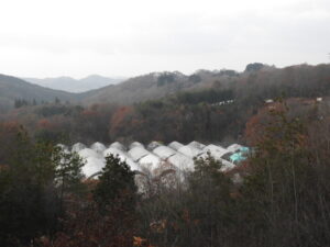 冷えて少し雪も降ります。