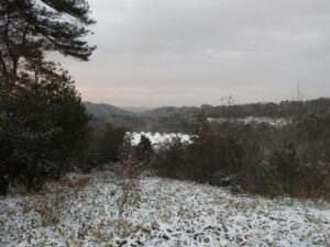 朝は雪が少し積もりました。