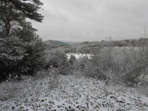 朝は雪が少し積もりました②。