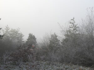 朝の冷え込み厳しく、昼間はとても暖かいです。