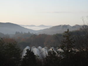 朝は冷え込み、昼間は暖かいです。