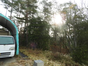 朝の冷え込みが厳しいです②。