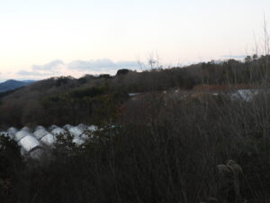 風が冷たく真冬の寒さです。