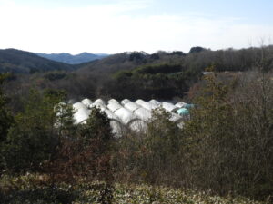 土耕のハウスのテントおろしをします。