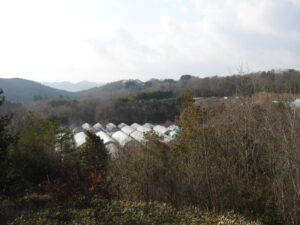 降雪に備えテント下ろしとつい立のチェックをしました。