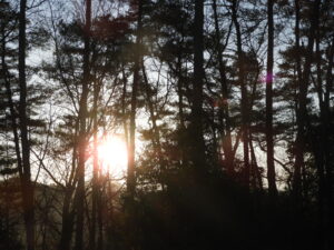 朝は冷え込みます。