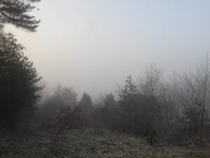 朝は冷え込みます②。