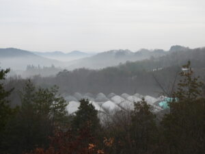 朝は冷え込みます③。