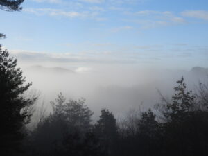 朝は冷え込みます④。